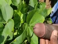 Guy’s dick penetrated by a small animal sex toy